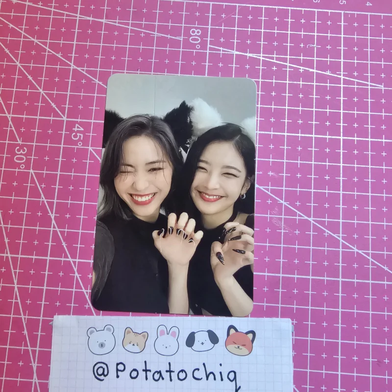 CHESHIRE STANDARD EDITION