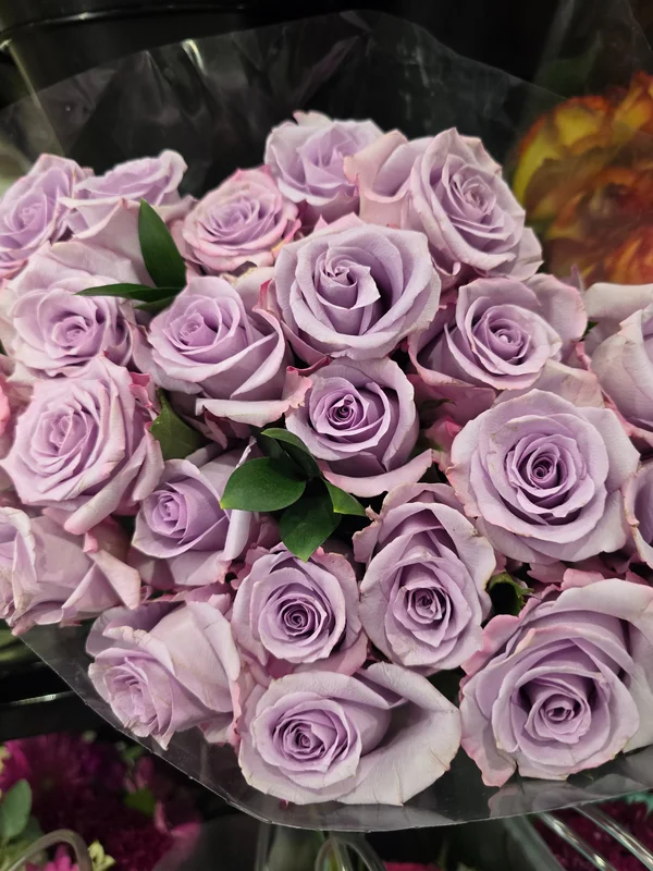purplerose