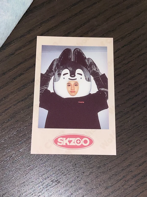 Stray Kids 1ST #LoveSTAY SKZ-X SKZOO GOODS PRE-ORDER SPECIAL GIFT