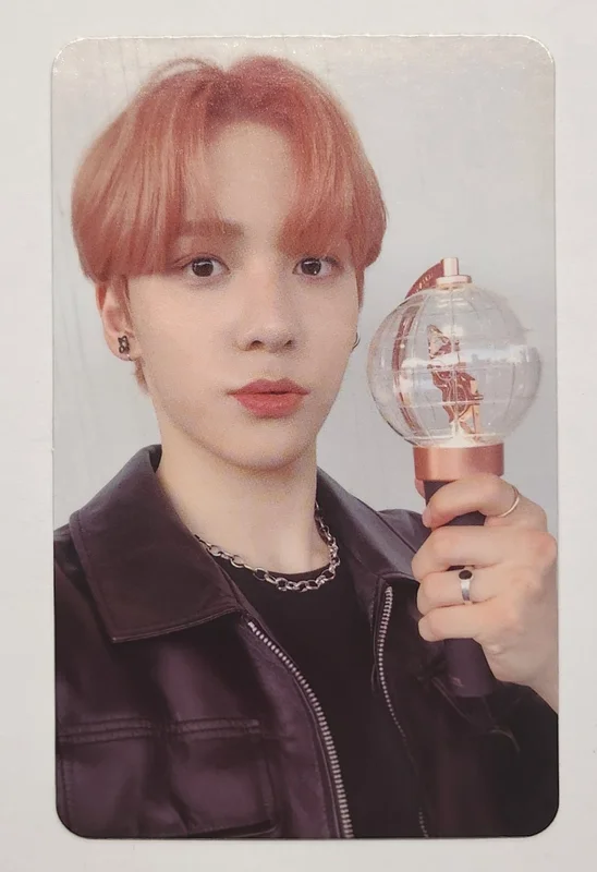 OFFICIAL LIGHT STICK CASE