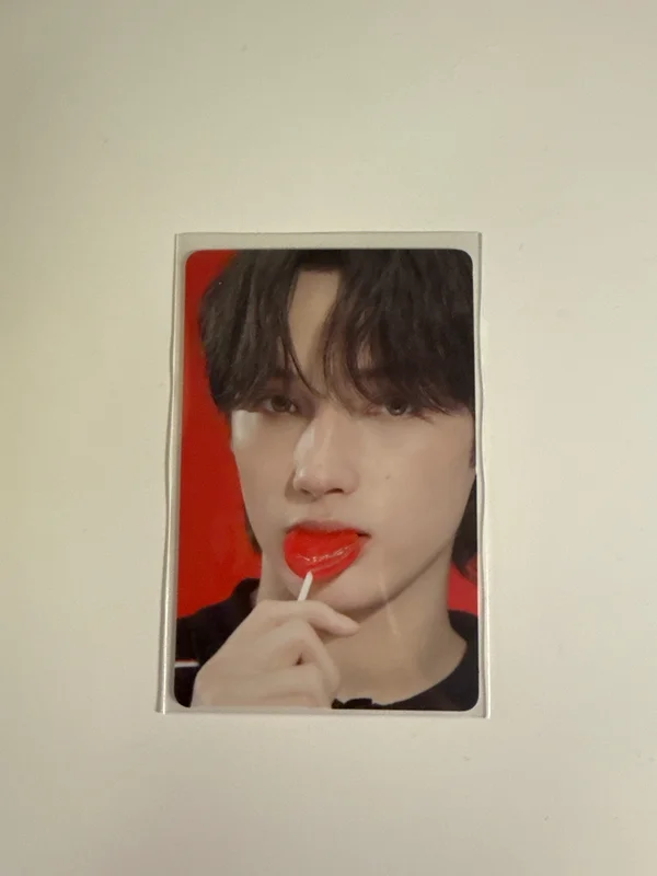 The Star Chapter: SANCTUARY LOVER Ver.