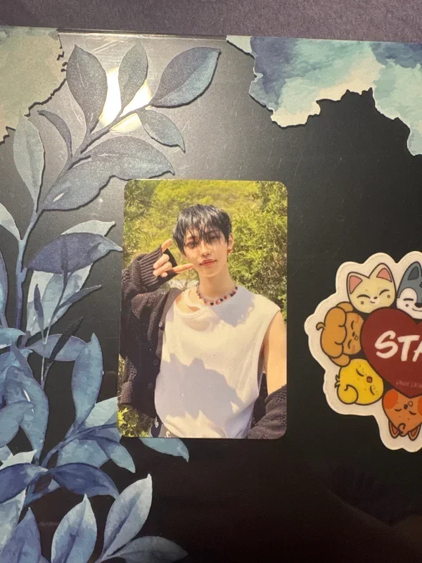 MAXIDENT Target Exclusive