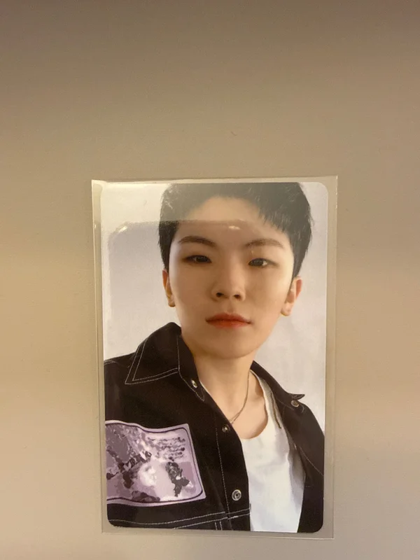SEVENTEEN 2019 SEASON'S GREETINGS