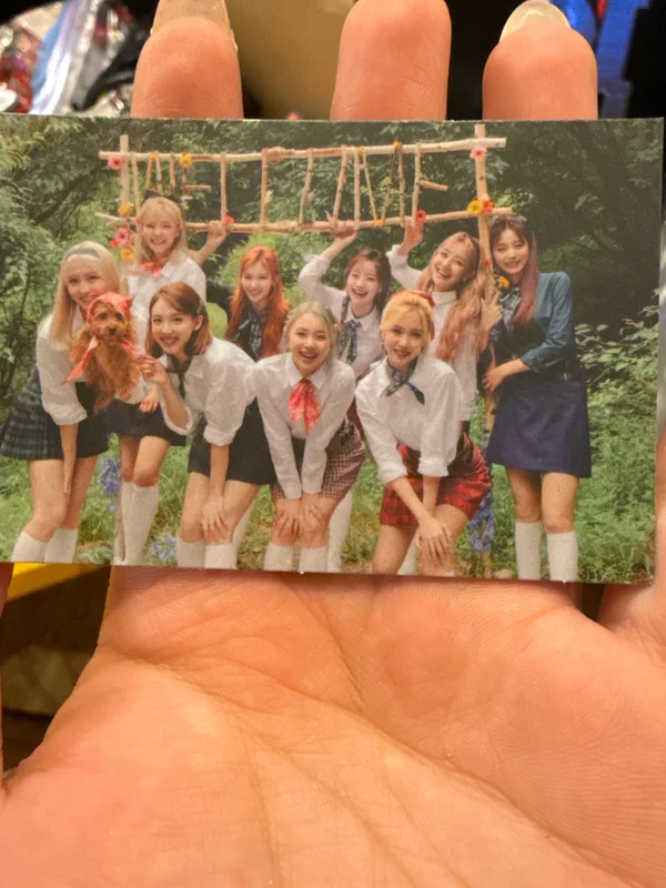 5th Anniversary LIGHT BAND KIT