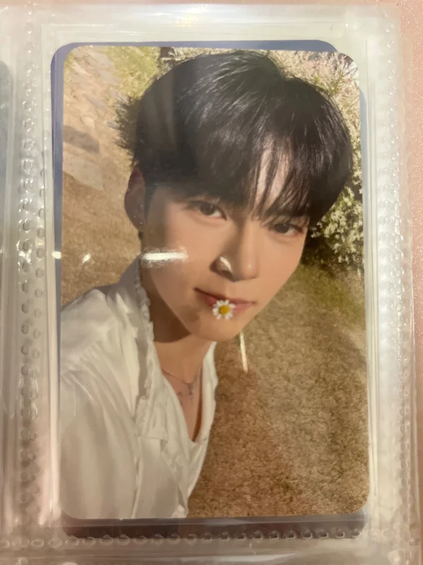 YOUTH IN THE SHADE  SHADE Ver.