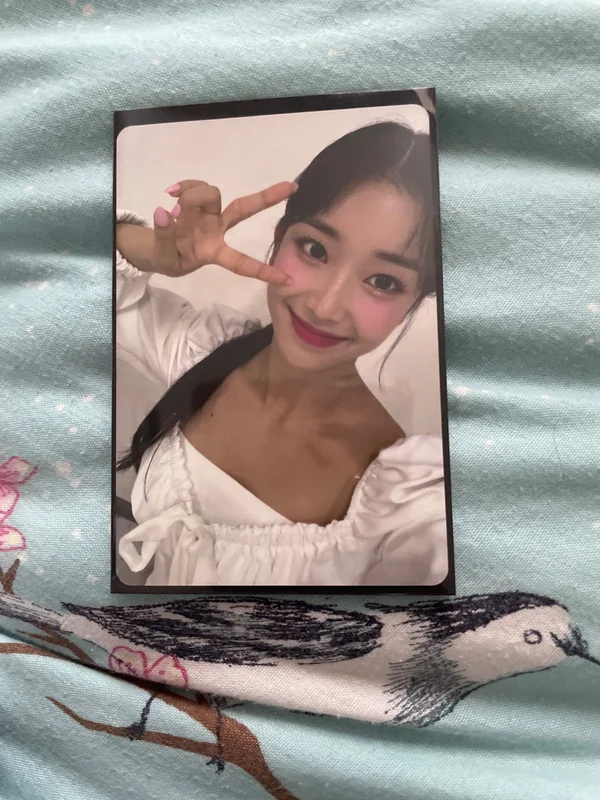 Candy shop special card