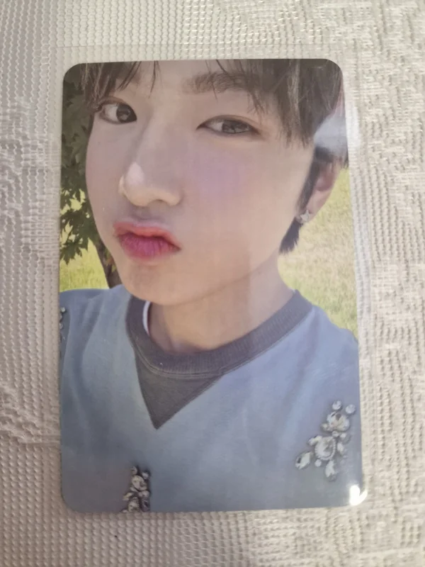 Songbird Letter Ver.