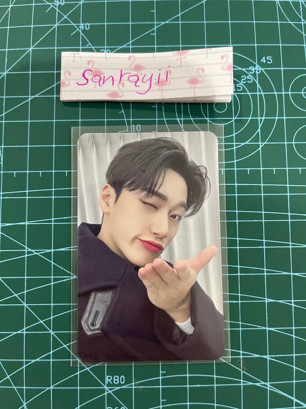 THE WORLD EP.FIN : WILL MINIRECORD