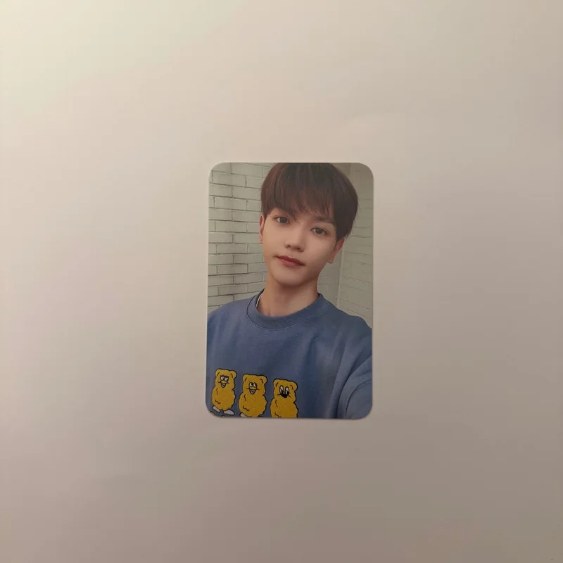 SLOWACID X TEDDYISLAND