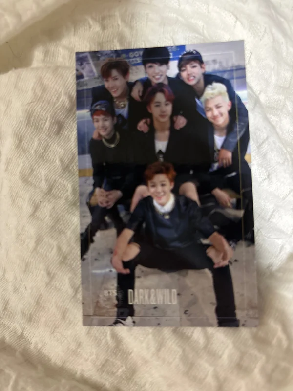 DARK&WILD