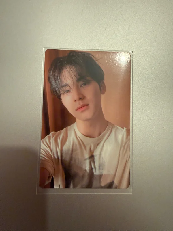 Face the Sun CARAT Ver.