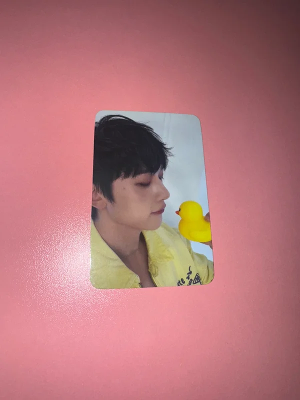 CINEMA PARADISE SOUND WAVE