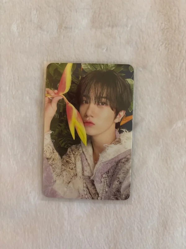 EVERSHINE NIGHTFALL ver.