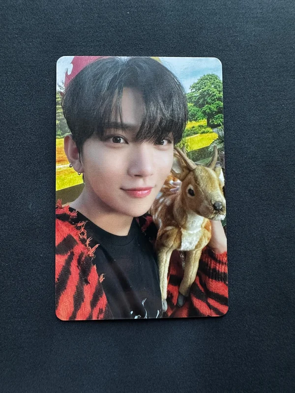 DICON D'FESTA MINI EDITION : SEVENTEEN