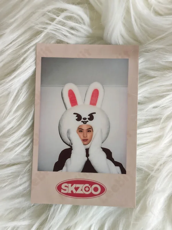 Stray Kids 1ST #LoveSTAY SKZ-X SKZOO GOODS PRE-ORDER SPECIAL GIFT