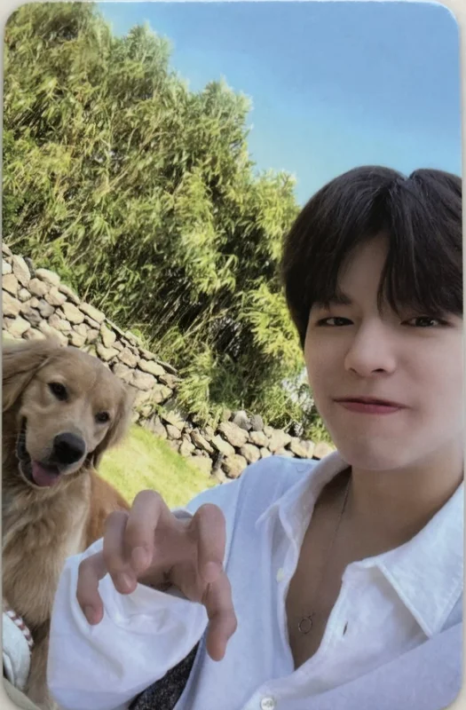 seungsells