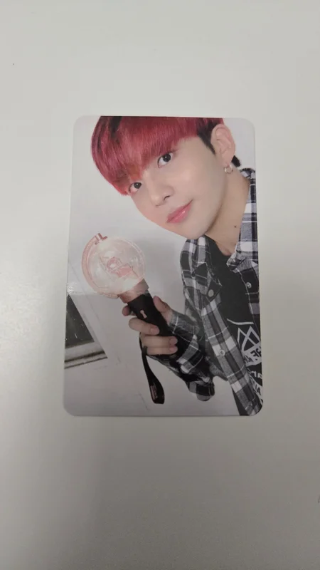 OFFICIAL LIGHT STICK CASE