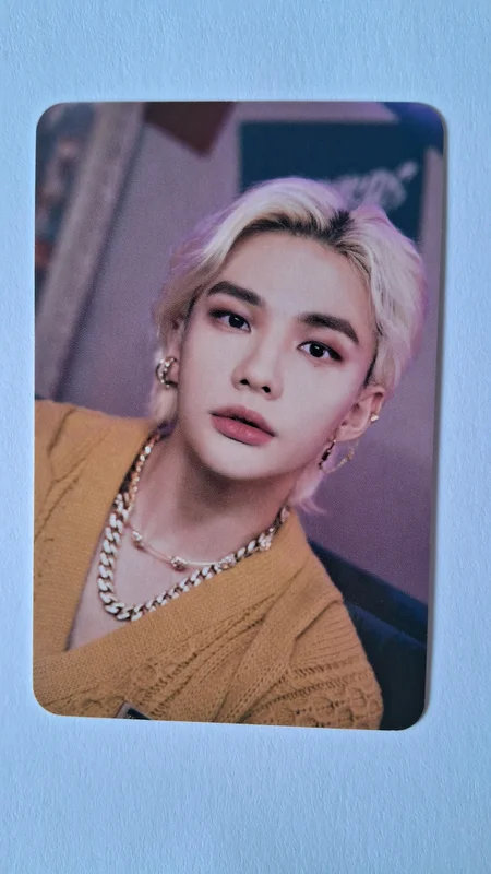 STRAY KIDS x SKZOO POP-UP STORE 'THE VICTORY' RANDOM PHOTOCARD PACK