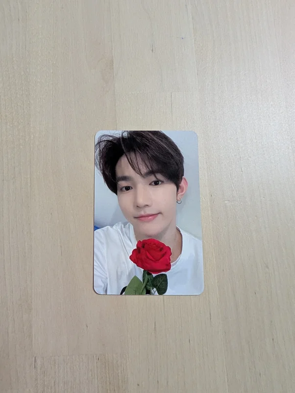 CINEMA PARADISE StarRiver