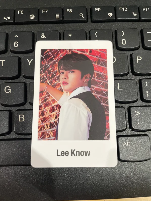 Lee Know Stray Kids All In Photocard Set