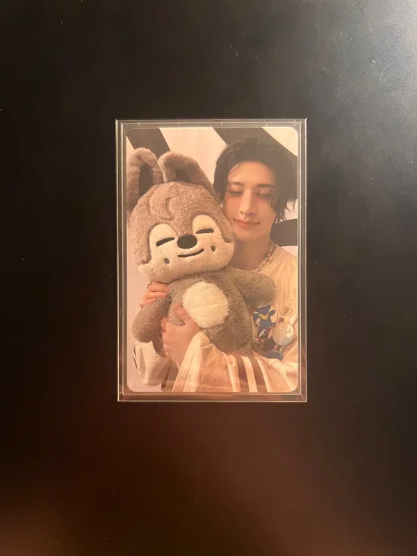 Stray Kids World Tour dominATE : celebrATE SKZOO PHOTOCARD TINCASE