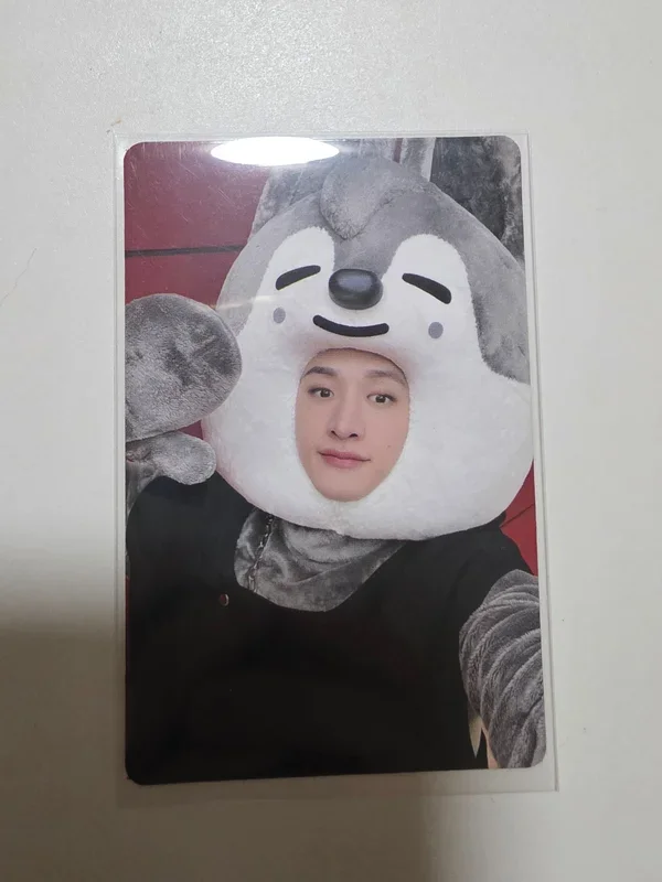 MAXIDENT JYP SHOP