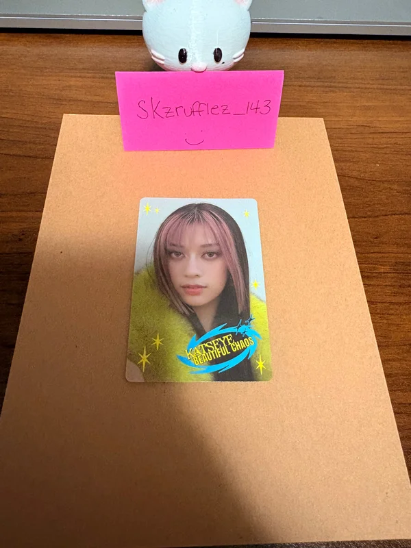 BEAUTIFUL CHAOS Vinyl