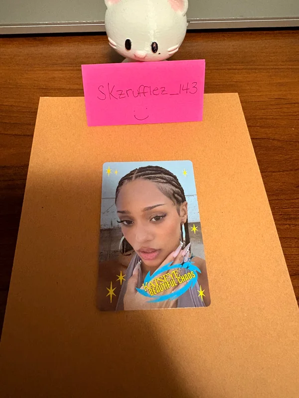 BEAUTIFUL CHAOS Vinyl