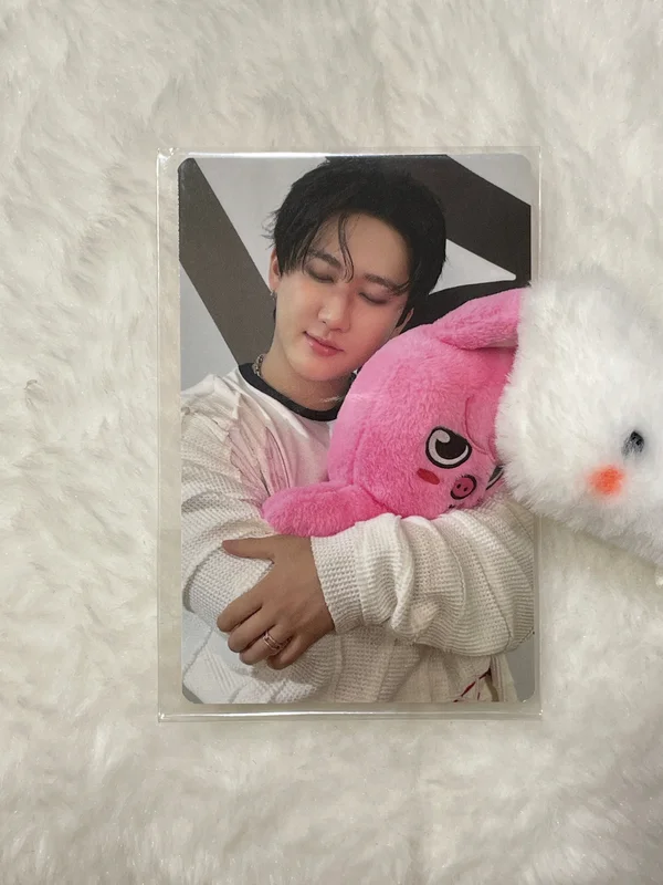 Stray Kids World Tour dominATE : celebrATE SKZOO PHOTOCARD TINCASE