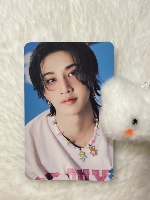 Stray Kids World Tour dominATE : celebrATE PHOTOCARD HOLDER