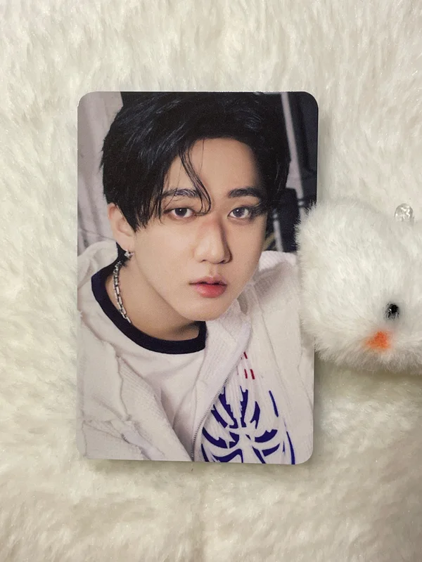 Stray Kids World Tour dominATE : celebrATE PHOTOCARD HOLDER