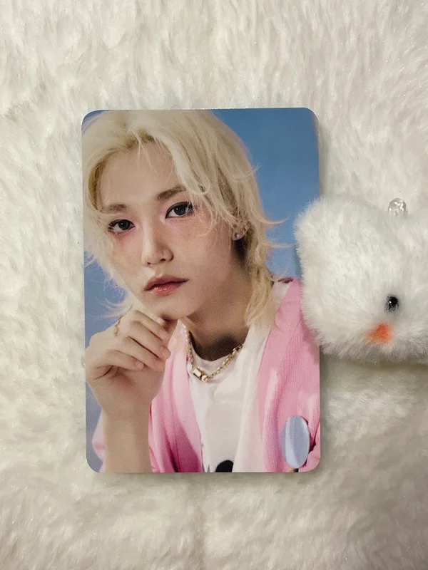 Stray Kids World Tour dominATE : celebrATE PHOTOCARD HOLDER