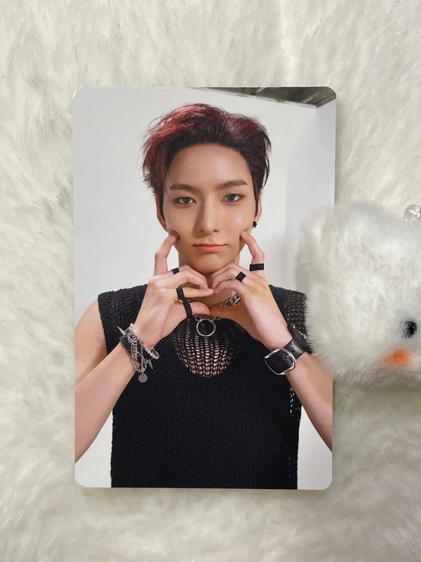 LIVE and FALL COLLECT CASE