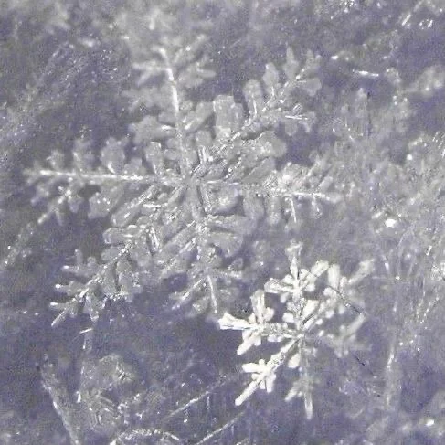 snowflake_sh0p