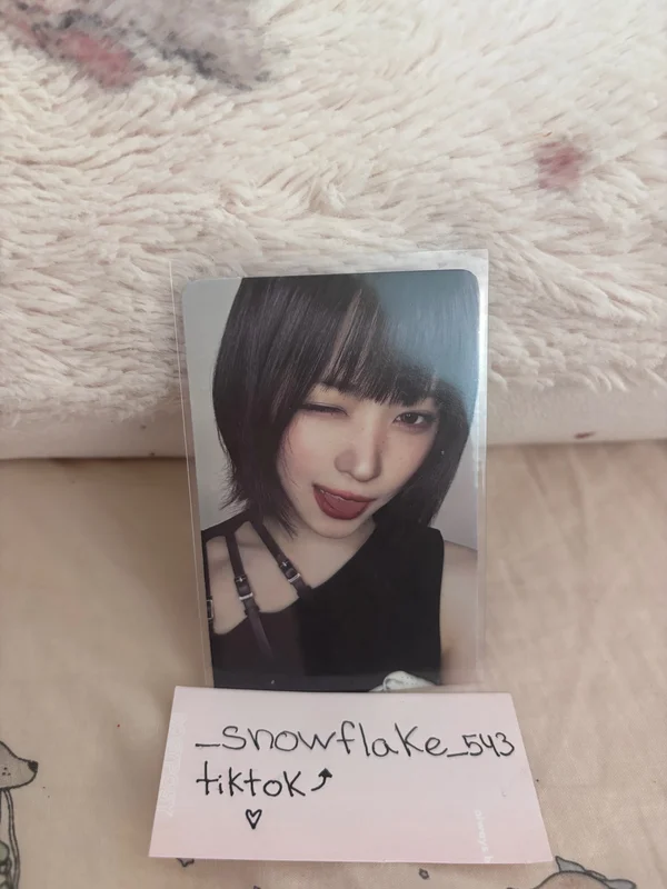 Motto MEMBER Ver.