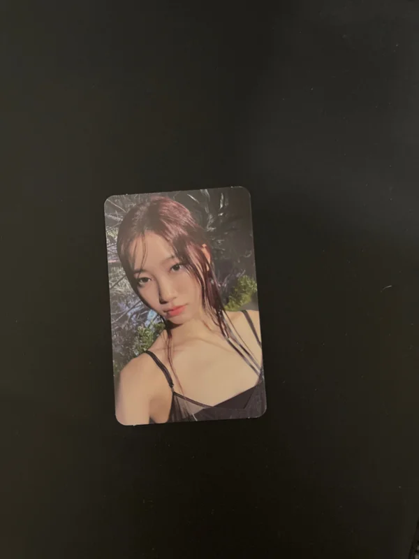 EASY Vol.2 FEATHERLY LOTOUS