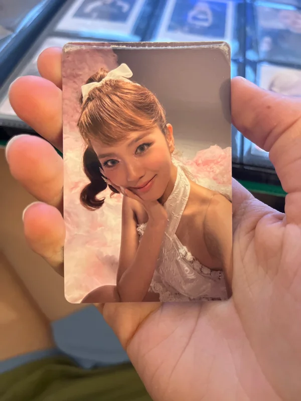 AMORTAGE US Exclusive