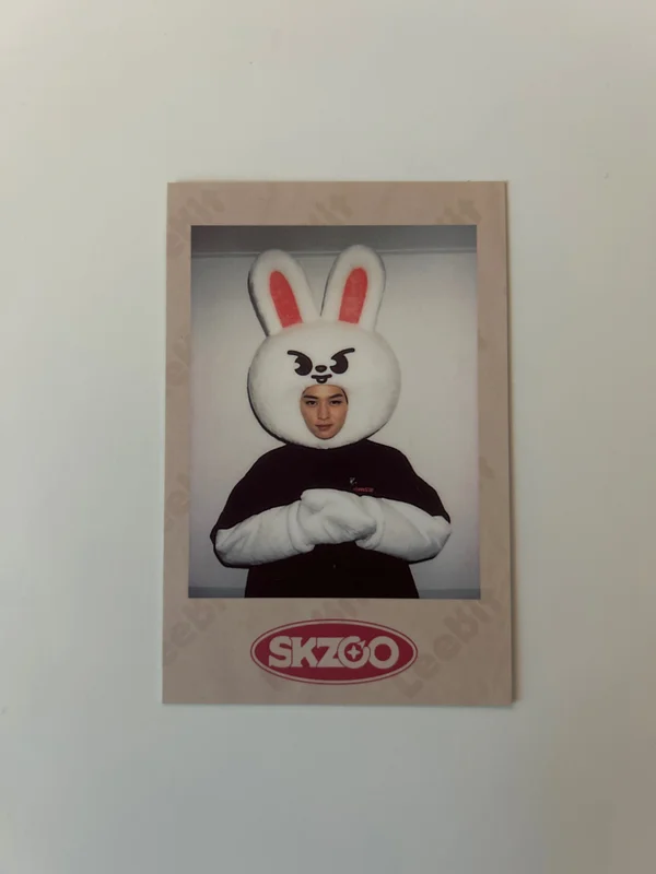 Stray Kids 1ST #LoveSTAY SKZ-X SKZOO GOODS PRE-ORDER SPECIAL GIFT