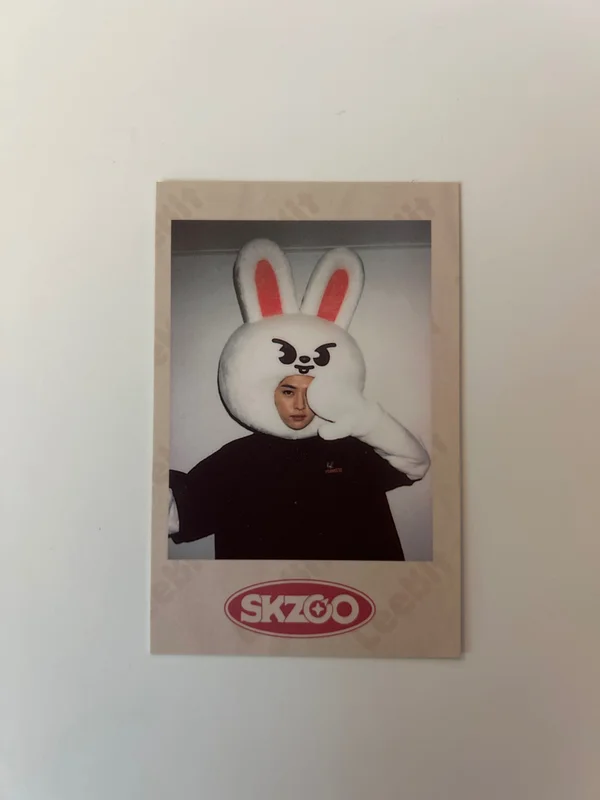 Stray Kids 1ST #LoveSTAY SKZ-X SKZOO GOODS PRE-ORDER SPECIAL GIFT