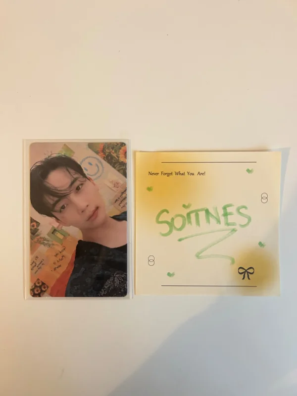 Face the Sun Weverse Albums ver.
