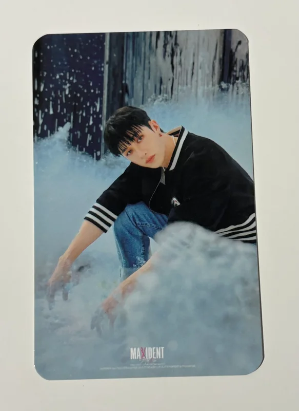 MAXIDENT TOWER RECORDS