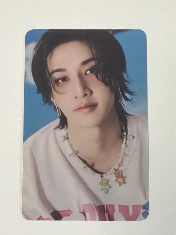 Stray Kids World Tour dominATE : celebrATE PHOTOCARD HOLDER