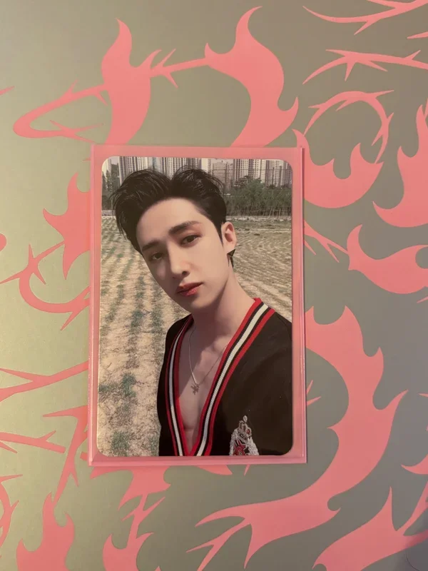 MAXIDENT BANGCHAN SKZ