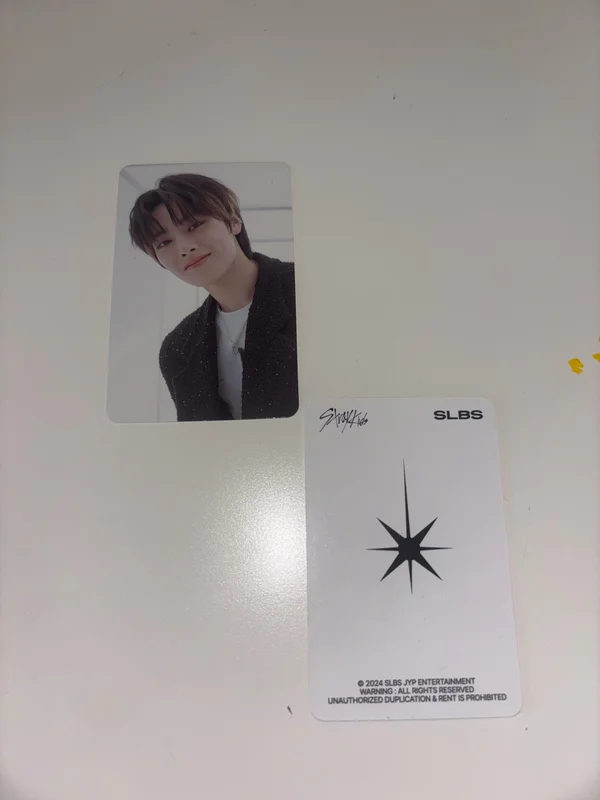 SLBS Stray Kids Edition for Galaxy S24+