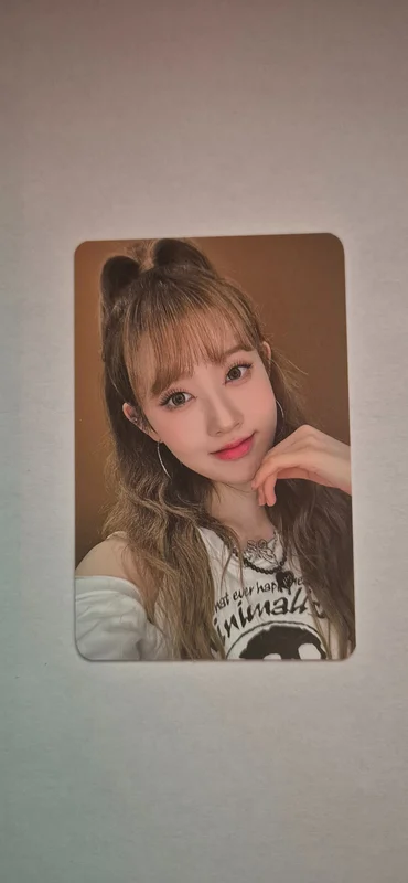 Teddy Bear KTOWN4U