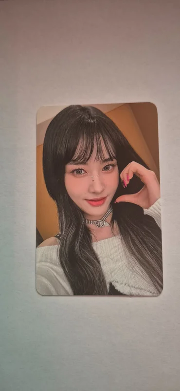 Teddy Bear KTOWN4U
