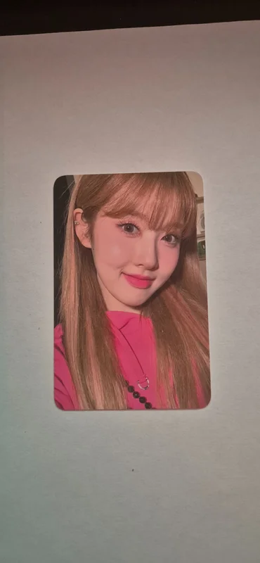 Teddy Bear KTOWN4U