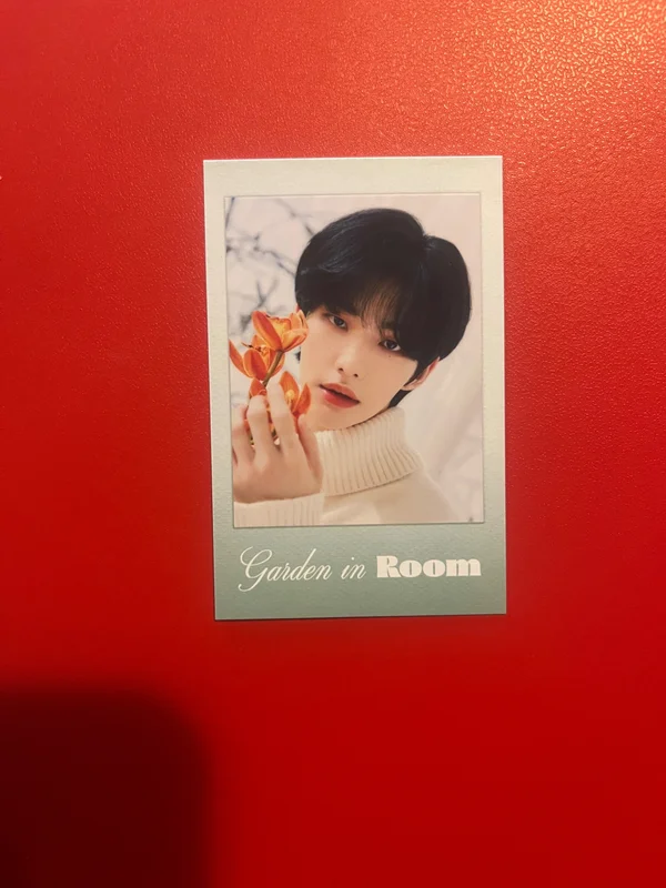 2022 SEASON'S GREETINGS Room,mates