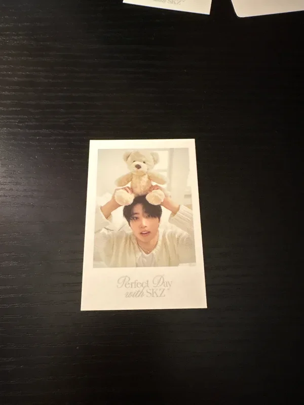 Stray Kids 2024 SEASON'S GREETINGS - Perfect Day with SKZ