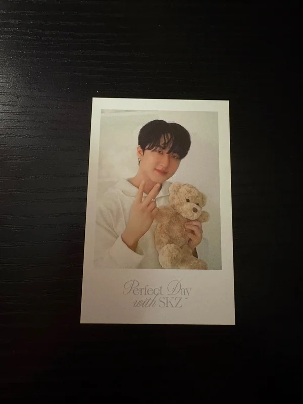 Stray Kids 2024 SEASON'S GREETINGS - Perfect Day with SKZ